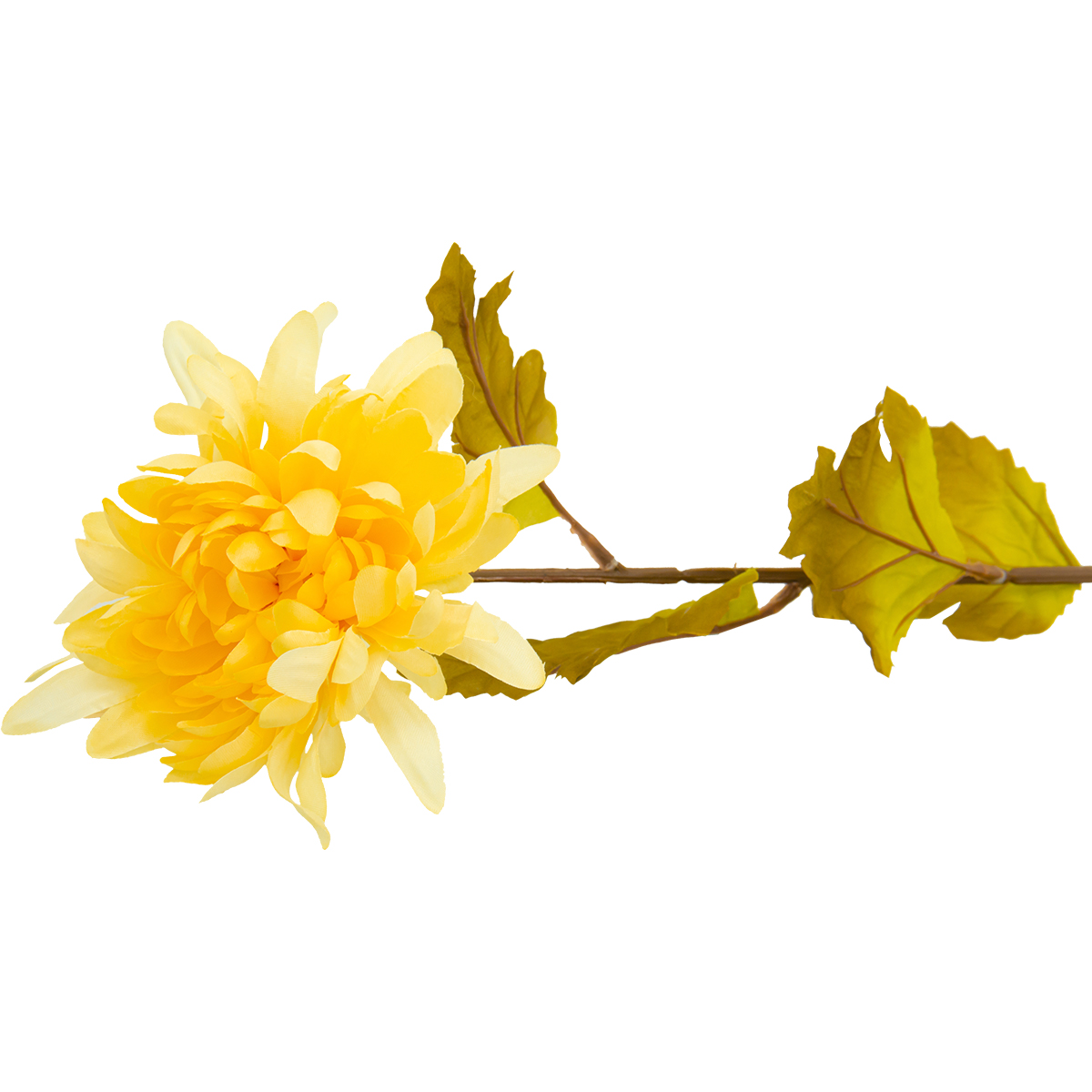 Flor Crisantemo Amarillo | Flores | decoracion